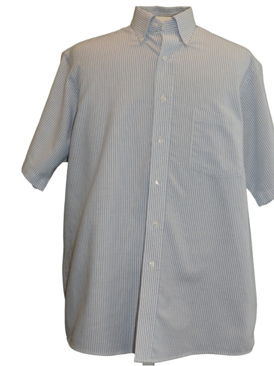 Van Heusen Other - Van Heusen Light Blue and White Pinstripe Short Sleeve Button-Down Shirt